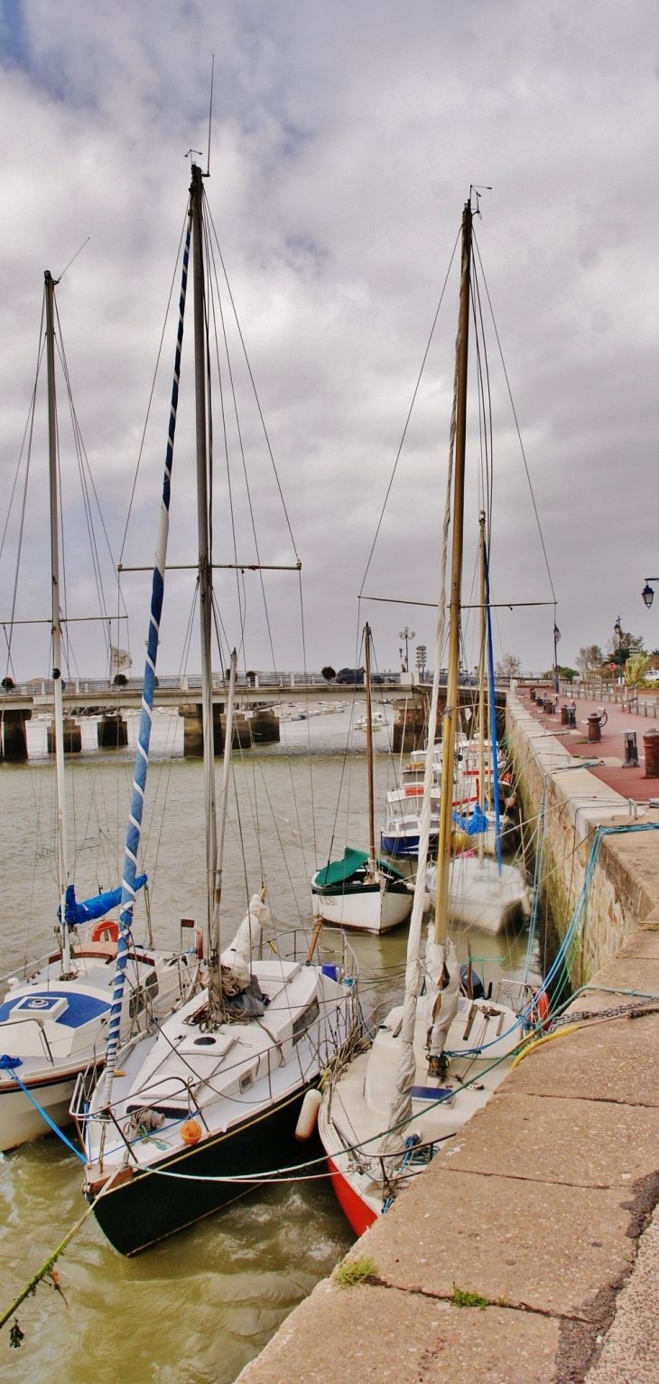 Le Port - Saint-Gilles-Croix-de-Vie