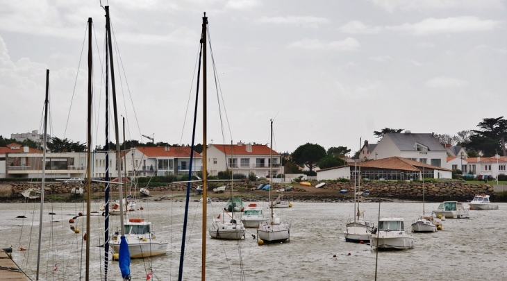 Le Port - Saint-Gilles-Croix-de-Vie