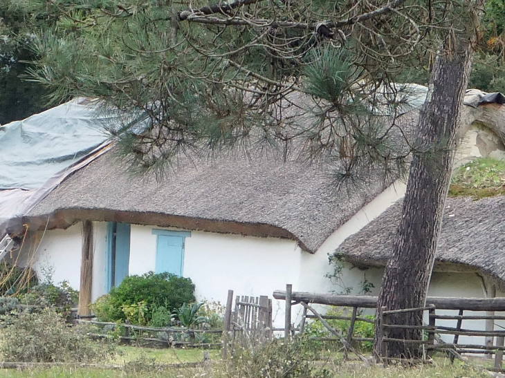 La bourrine du bois Juquaud : habitation traditionnelle du marais - Saint-Hilaire-de-Riez
