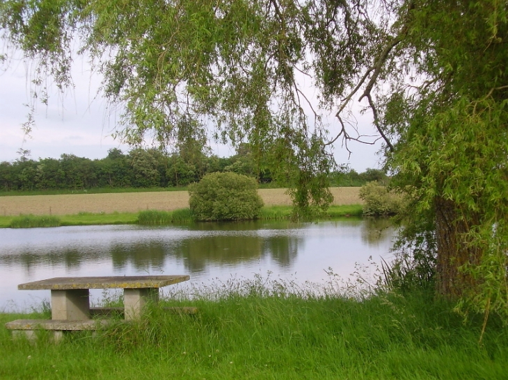 Etang communal - Saint-Révérend