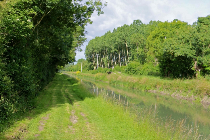 Le canal de la vieille Autize. - Saint-Sigismond