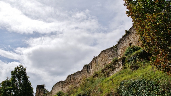  Château de Talmont - Talmont-Saint-Hilaire