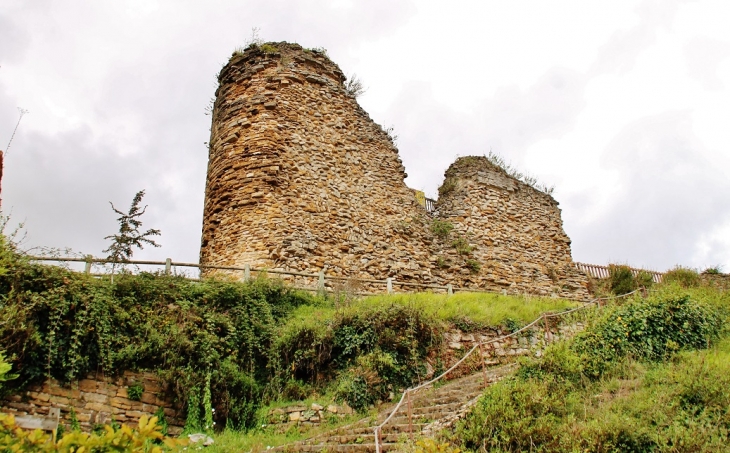  Château de Talmont - Talmont-Saint-Hilaire