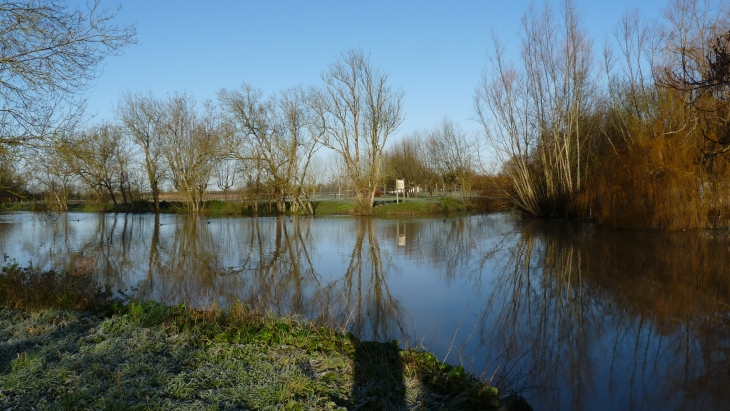 Couleurs d'hiver sur la rivière Vendée - Velluire