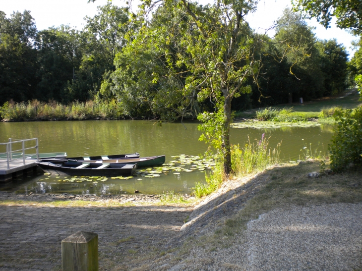 Bord de la Vendée - Velluire