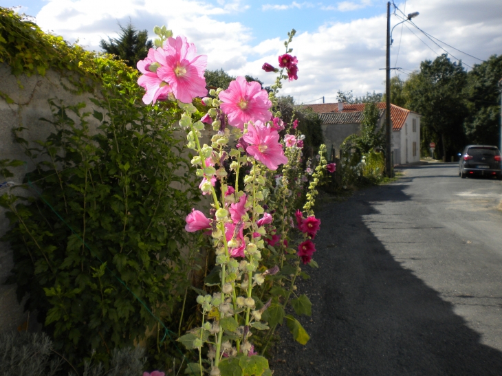 Rue du grand port - Velluire