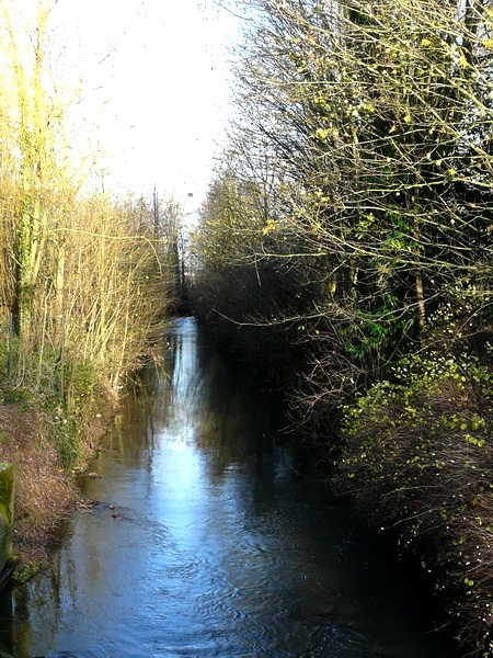 La Serre - Anguilcourt-le-Sart