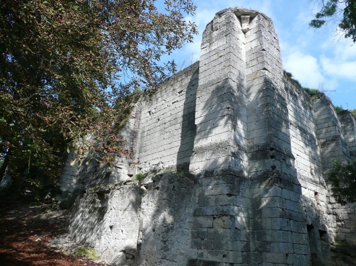 Ruines de la ferme de Confrécourt - Berny-Rivière