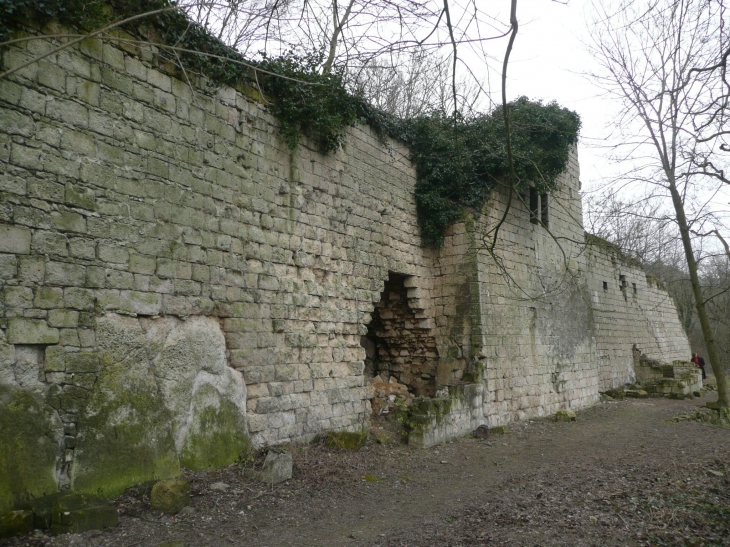 Ruines de l'ancienne ferme de Confrécourt - Berny-Rivière