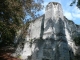 Ruines de la ferme de Confrécourt