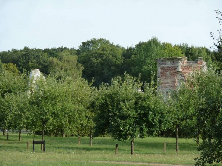 Vestige de l'abbaye - Bouconville-Vauclair