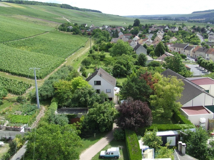 Le village et son vignoble - Brasles