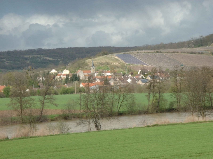 Le village, la riviére Marne et le vignoble - Brasles