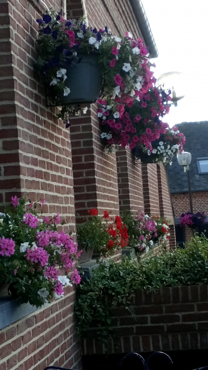 Fleurs de la mairie - Buire