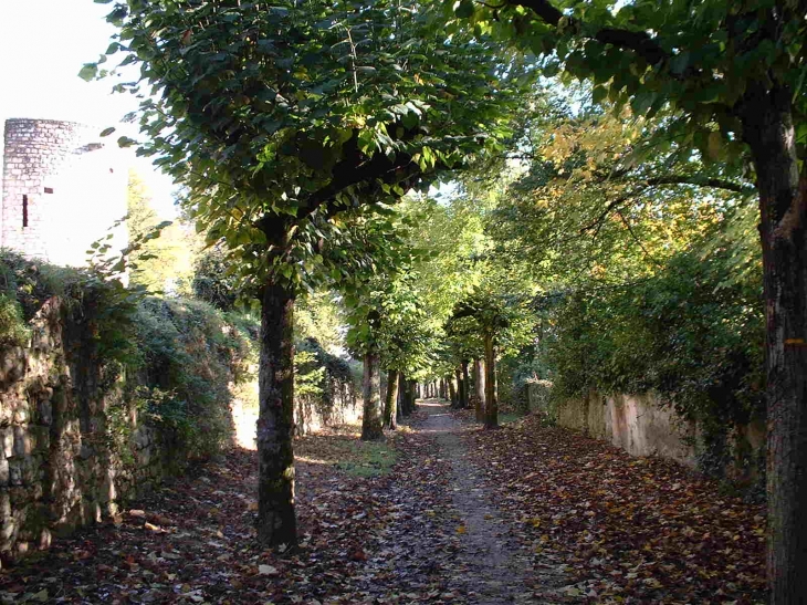 Chemin de ronde du vieux château - Château-Thierry