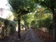 Chemin de ronde du vieux château