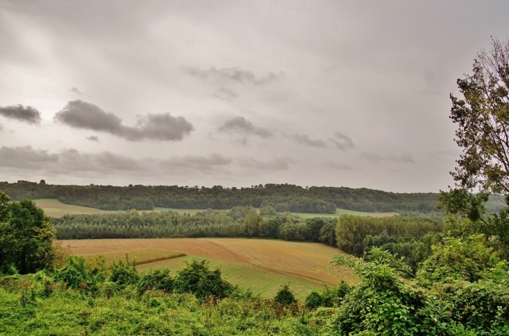 La Campagne - Chavigny