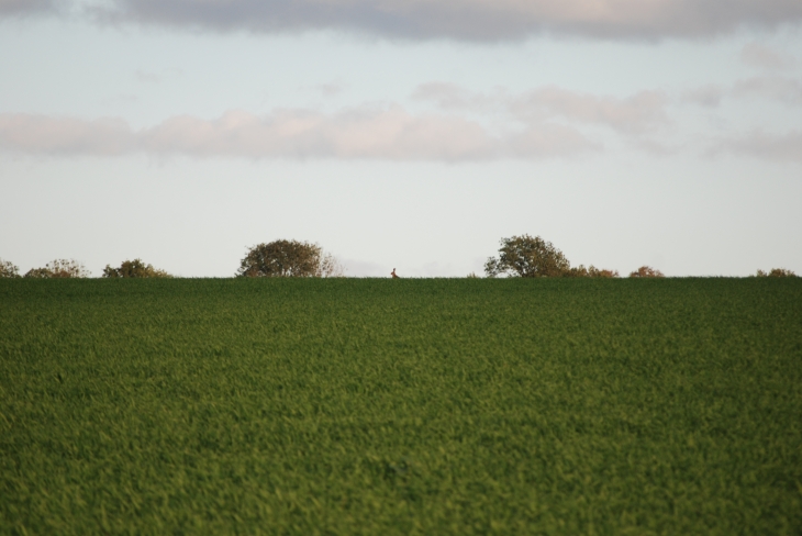 Ce matin un chasseur.......  - Chevennes