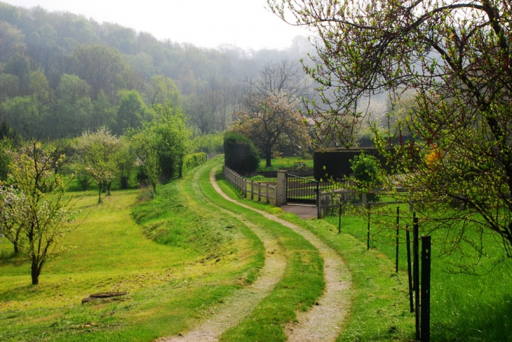 Chemin de la Tuêterie - Chierry