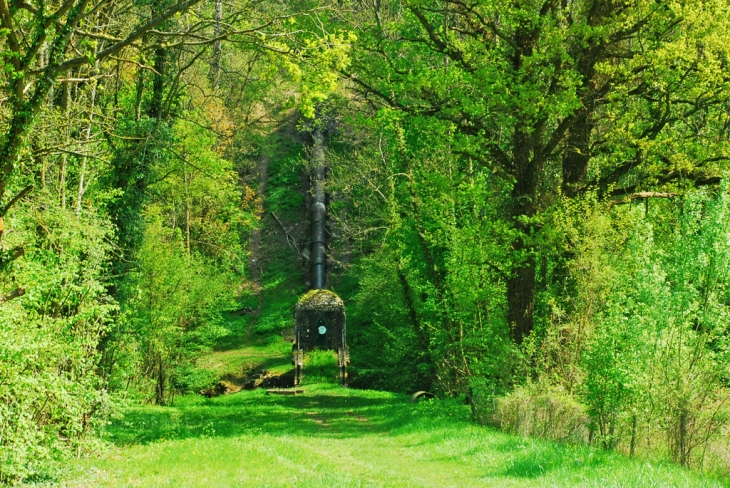 Le Parc en juin - Chierry