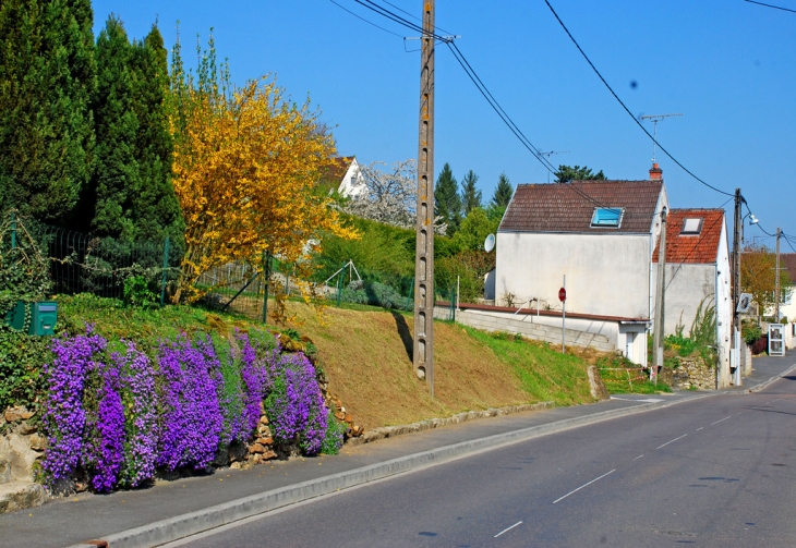 Rue Maurice Clausse - Muret fleuri - Chierry