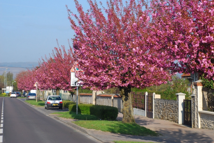 Avenue Gal De Gaulle - Chierry