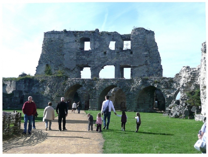 Le chateau - Enceinte seigneuriale - Coucy-le-Château-Auffrique