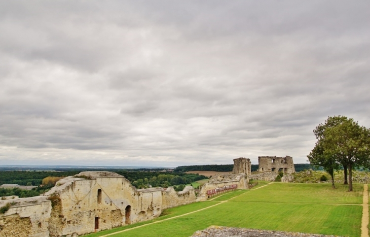 Ruines du Château - Coucy-le-Château-Auffrique