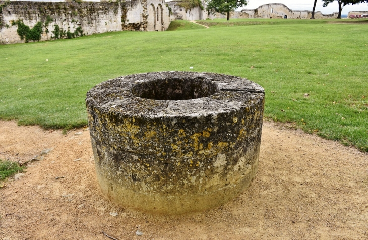 Ruines du Château ( Le Puits ) - Coucy-le-Château-Auffrique