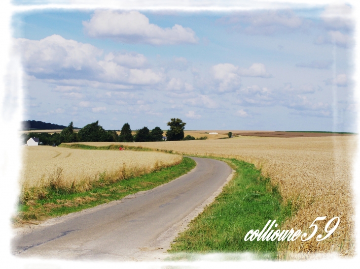 Vue sur la campagne - Dagny-Lambercy