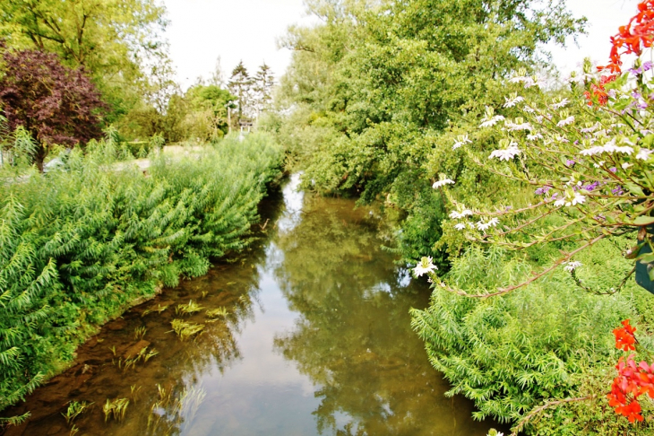 Le Thon - Étréaupont