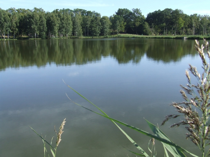 Le lac - Fère-en-Tardenois