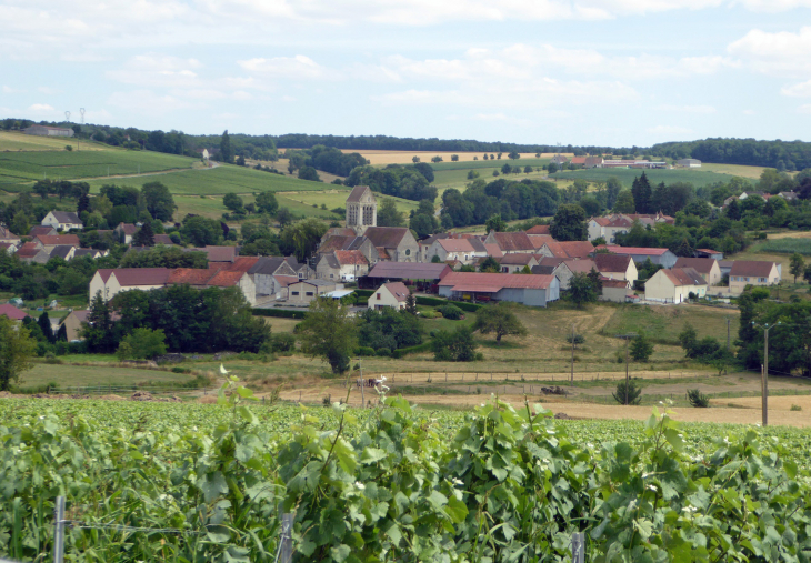 Vue sur le village - La Chapelle-Monthodon