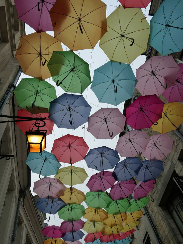 Les parapluies de Patricia Cunha : rue Chatelaine - Laon