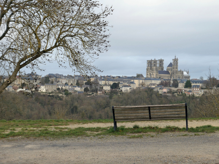 Cuve Saint Vincent : vue sur la cathédrale - Laon