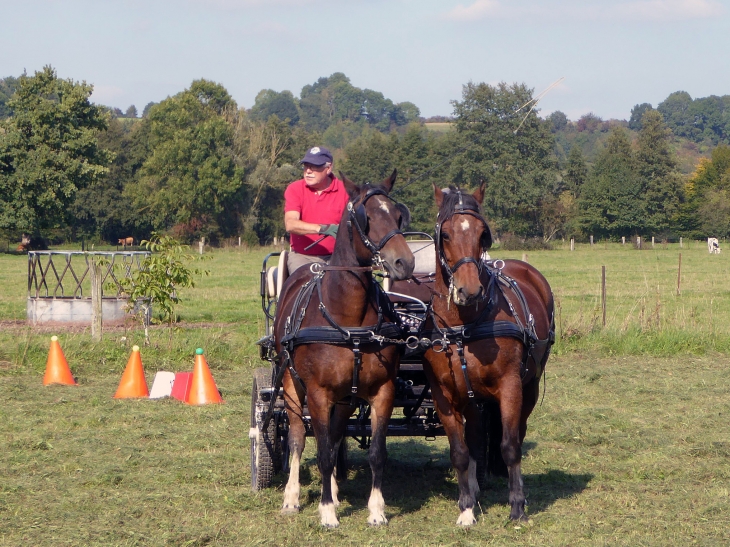 Concours d'attelage - Marly-Gomont