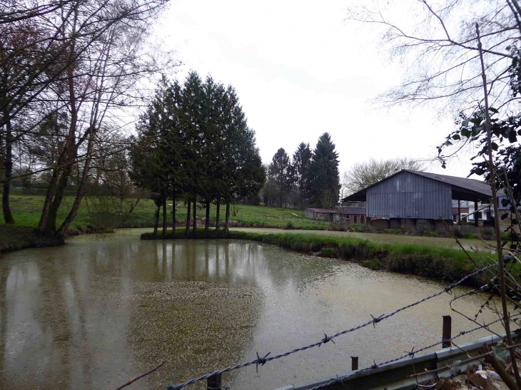 La mare dans le village - Morgny-en-Thiérache