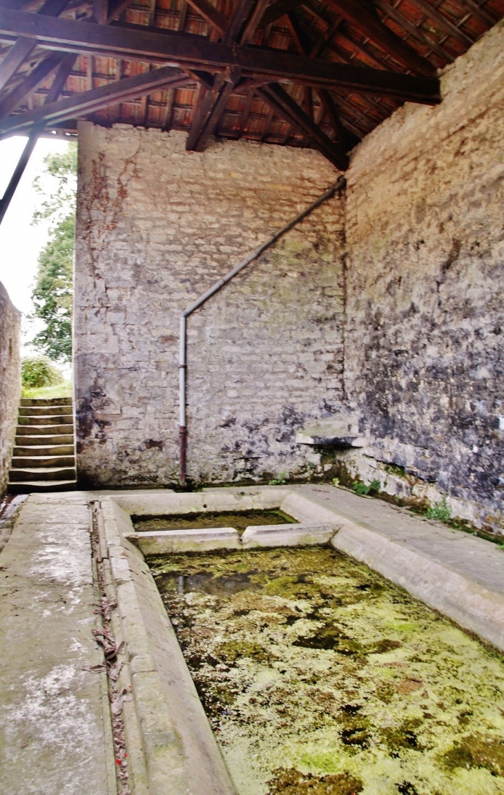 Le Lavoir  - Moussy-Verneuil