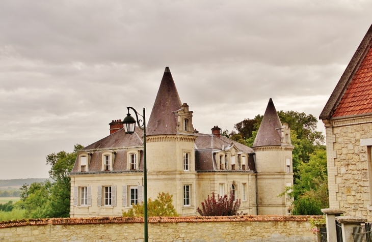 Le Château - Moussy-Verneuil