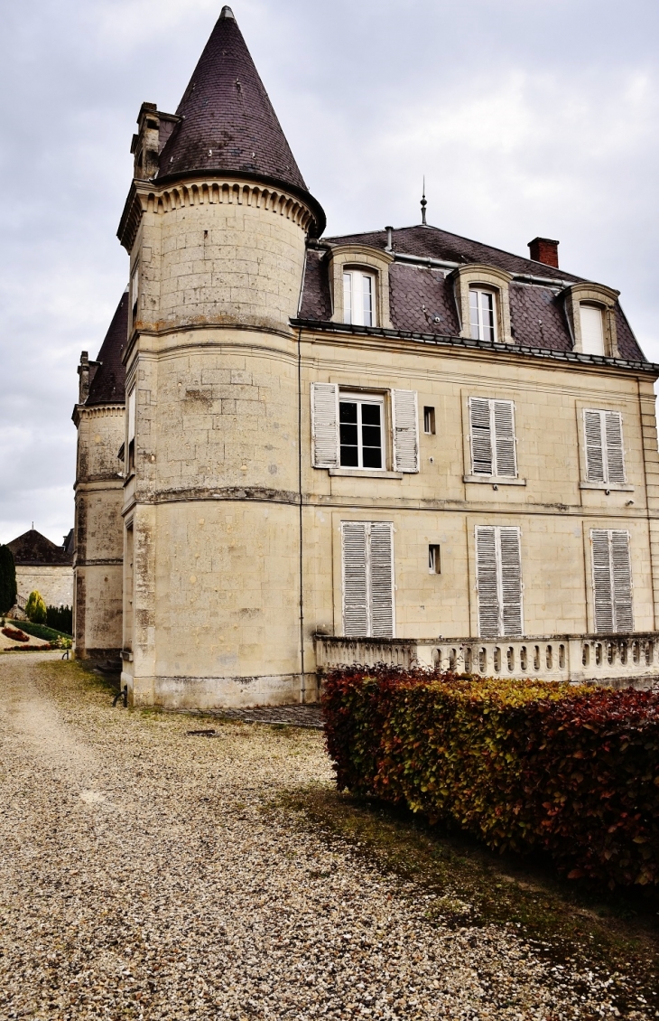 Le Château - Moussy-Verneuil