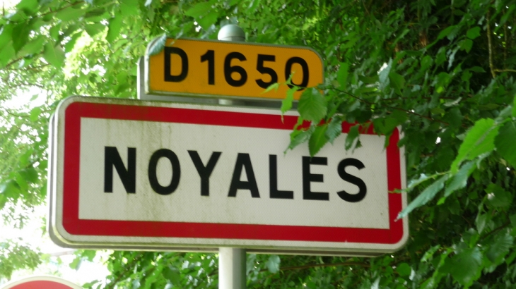 Le panneau de Noyales