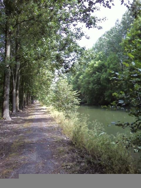 LE CANAL - Ollezy