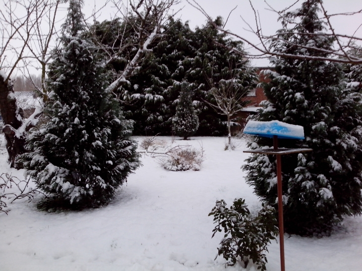 Ollezy sous la neige; le père noël n'est pas passé cette année