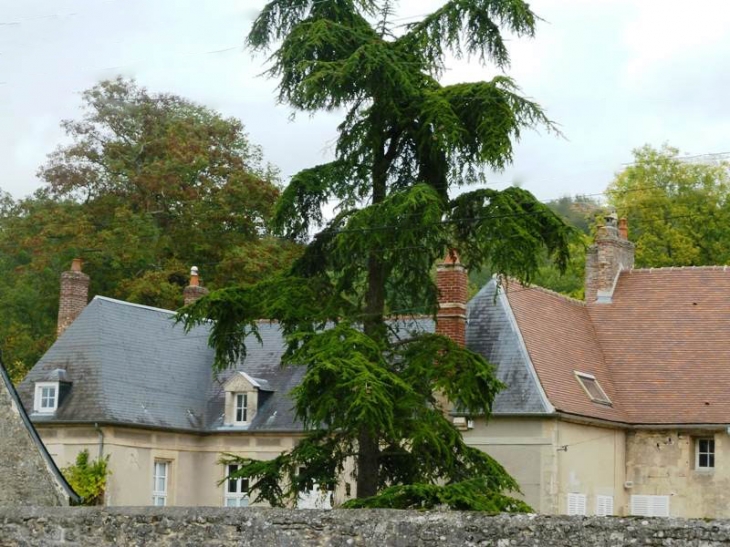 Maisons du village - Presles-et-Thierny