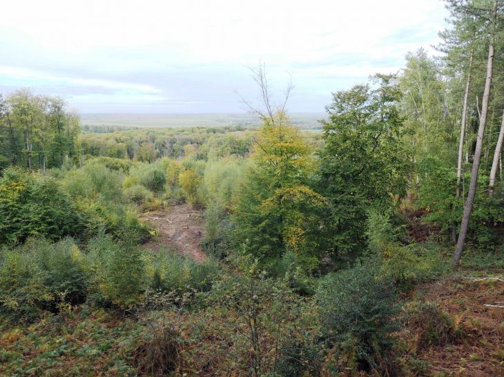 Vue depuis le sommet de la tour - Puiseux-en-Retz