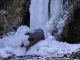 la cascade en hiver