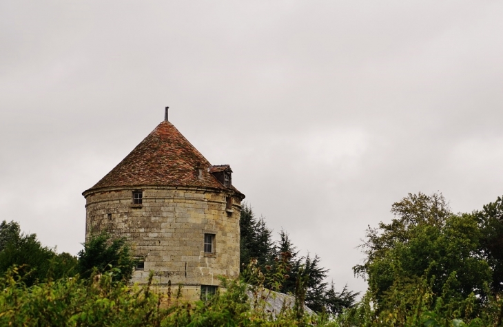 Pigeonnier  - Royaucourt-et-Chailvet