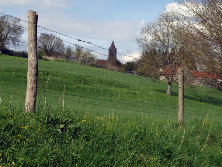 Le clocher vu des prés - Saint-Gengoulph