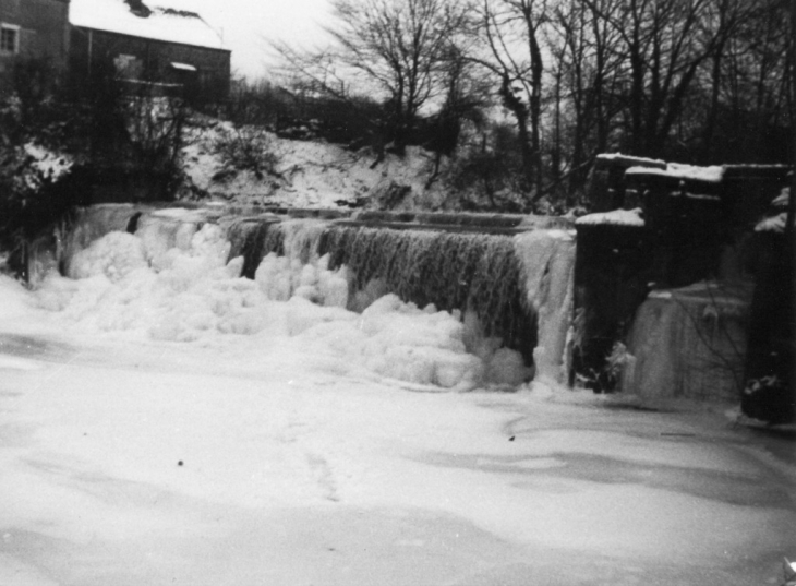 Chutte de sougland à Saint-Michel, hiver 1990