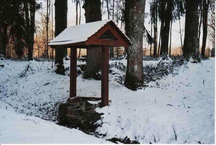 Fontaine de l'Etoile forêt de Saint-Michel